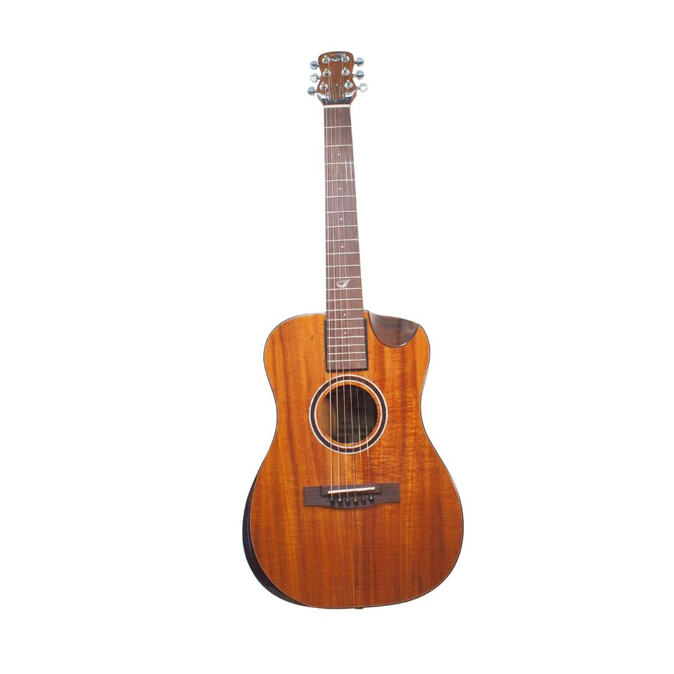 Overhead+ Solid Acacia Koa - OF882C