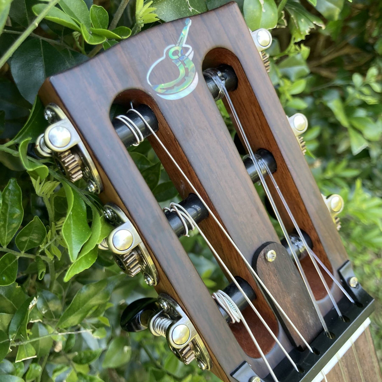 NEW! Solid Cedar / Solid Pau Ferro Classical Travel Guitar – OC522C