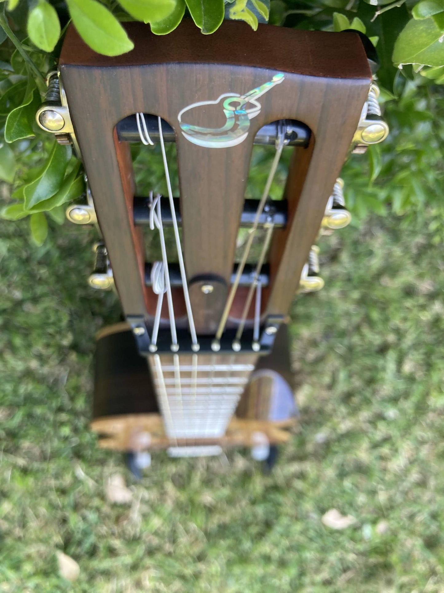 NEW! Solid Cedar / Solid Pau Ferro Classical Travel Guitar – OC522C