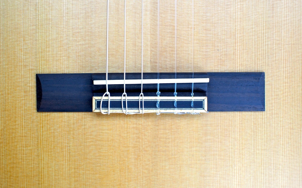 Solid Cedar / Pau Ferro Classical Travel Guitar - OC520