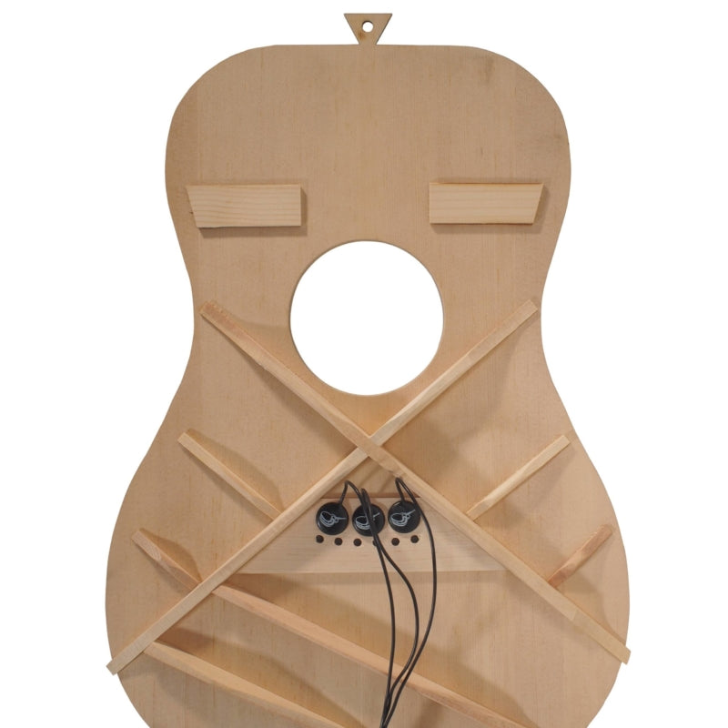 Pickup and Passive Soundhole Combo